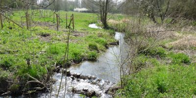 marais des rouches